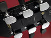Gibson Dark Fire