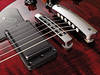 Gibson Dark Fire