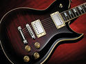Washburn WI580 USA Idol