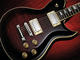 Washburn WI580 USA Idol