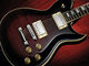 Washburn WI580 USA Idol