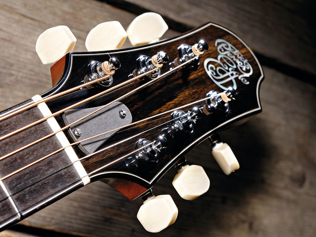 Patrick James Eggle Skyland Ivoroid buttons finish off the Skyland's chrome Gotoh tuners