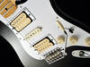 Fender Dave Murray Stratocaster