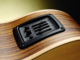 Larivée B-03RE Acoustic/Electric