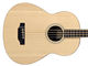 Larivée B-03RE Acoustic/Electric