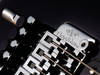 EVH Wolfgang