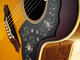 Takamine LTD 2009