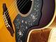 Takamine LTD 2009
