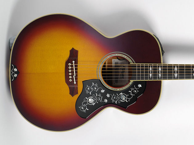 The body outline is Takamine's own design