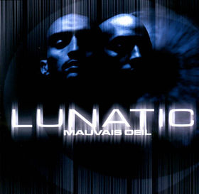 Les 10 plus grands albums de rap français