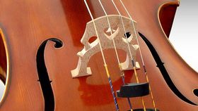 Les Têtes Raides, une musique de Terriens