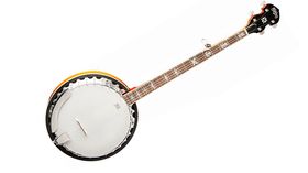 Namm 2014 : La nouvelle série acoustique de chez Washburn