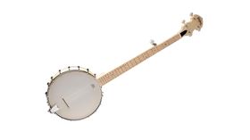 Namm 2014 : La nouvelle série acoustique de chez Washburn