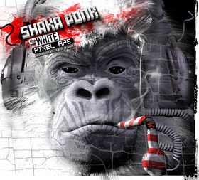 Wanna Get Free, le nouveau titre de Shaka Ponk