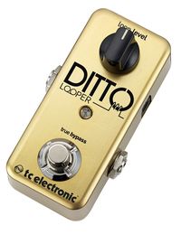 Le TC Electronic Ditto Looper tout d'or vêtu