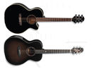 Musikmesse 2011: Takamine introduces four new guitars