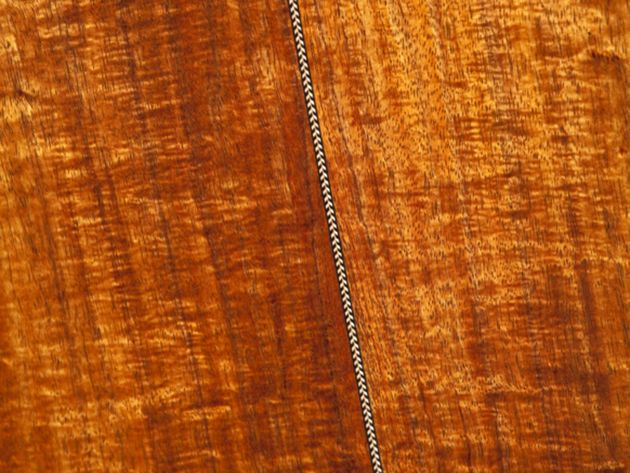 Pro Custom Classic Koa Auditorium Cutaway