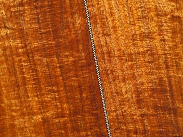 Pro Custom Classic Koa Auditorium Cutaway