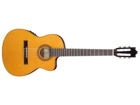 NAMM 2012: Ibanez reveals new acoustic guitar range