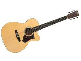 Best high-end acoustic guitars
