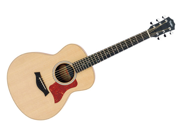 Taylor GS Mini