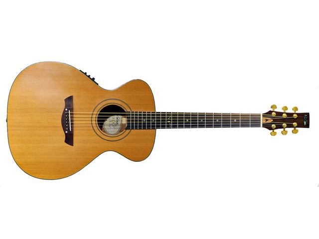 Vintage VE2000GG Gordon Giltrap