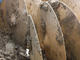 Sabian's 100 Soil-Aged cymbals excavated, de-mudded