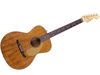 Fender Acoustic Custom Shop Newporter Kinky beast