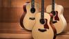 Taylor Grand Orchestra Une taille fine et de belles rondeurs