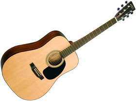 New Recording King acoustics announced