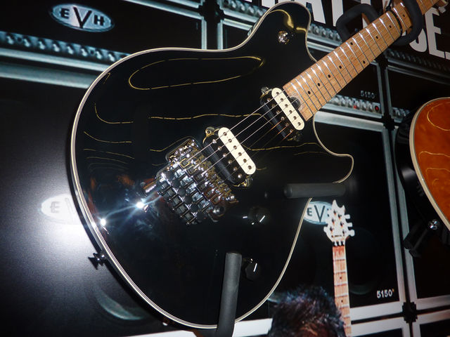 EVH Wolfgang Maple Top
