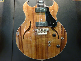 Musikmesse 2011: The Vox stand in pictures