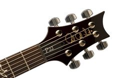 Musikmesse 2013 video: PRS unveils the P22 Trem