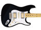 Fender Dave Murray Stratocaster