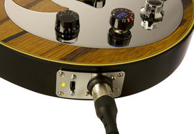 In pictures: the Gibson Dusk Tiger guitar