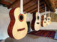 Build a guitar in beautiful northern Tuscany