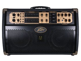 NAMM 2010: Peavey adds Session 300 amp to Ecoustic Series