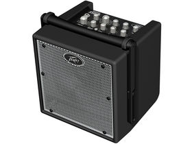 NAMM 2010: Peavey unveils Nano Vypyr guitar amp