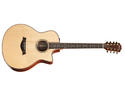 NAMM 2010: Taylor introduces the Baritone 8-String Guitar