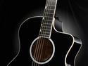 NAMM 2011: Taylor Guitars launches Doyle Deluxe model