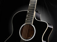 Taylor Guitars Doyle Deluxe