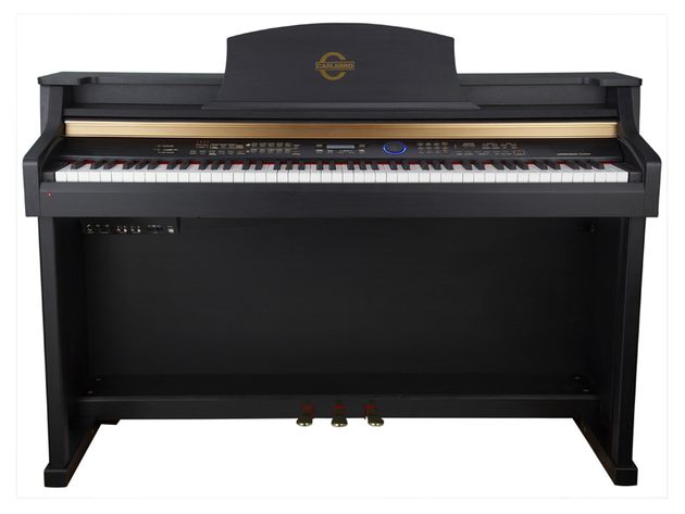 The Carlsbro PN1002's sampled voices feature 138 different instruments.