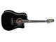 NAMM 2012: Takamine unveils the 2012 Limited Edition Series