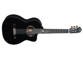 NAMM 2012: Takamine unveils the 2012 Limited Edition Series