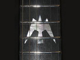 Introducing the Morgan Guitar Works Bird Of Prey