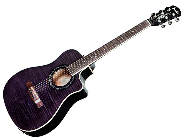 Fender T-Bucket 200 CE
