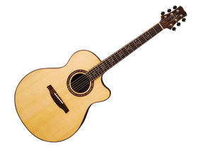 Tony McManus for PRS acoustic launch at LIMS