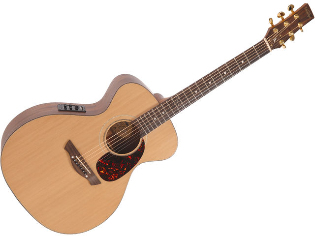 Vintage Gordon Giltrap Signature electro acoustic blank