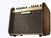 Fishman Loudbox Mini amp