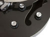 Epiphone Black Royale Wildkat (controls) Bridge and neck volume, master tone, master volume and a three-position toggle switch